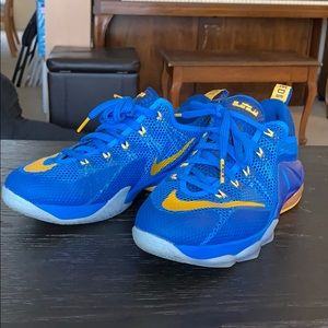 Nike Earned 23 Lebron James blue and yellow